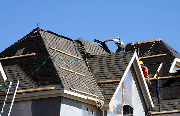 Roof Gutter Cleaning in Sheffield, AL